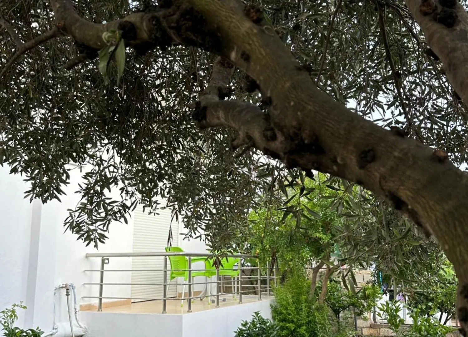 Anxhi Διαμέρισμα Εξαμίλιο